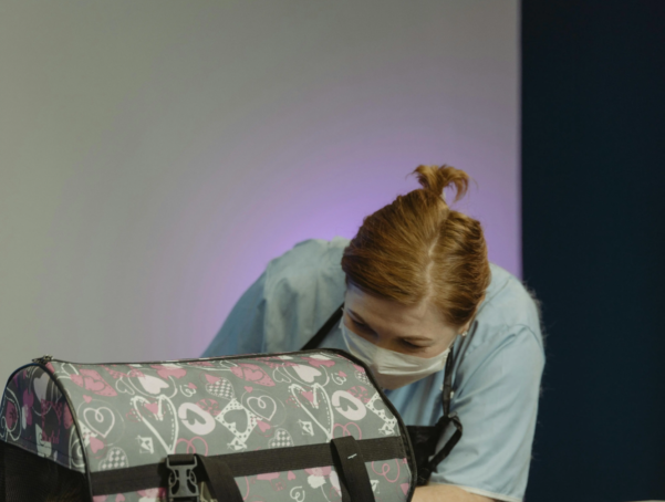 pexels-tima-miroshnichenko-6130983 pexels-tima-miroshnichenko-6130983